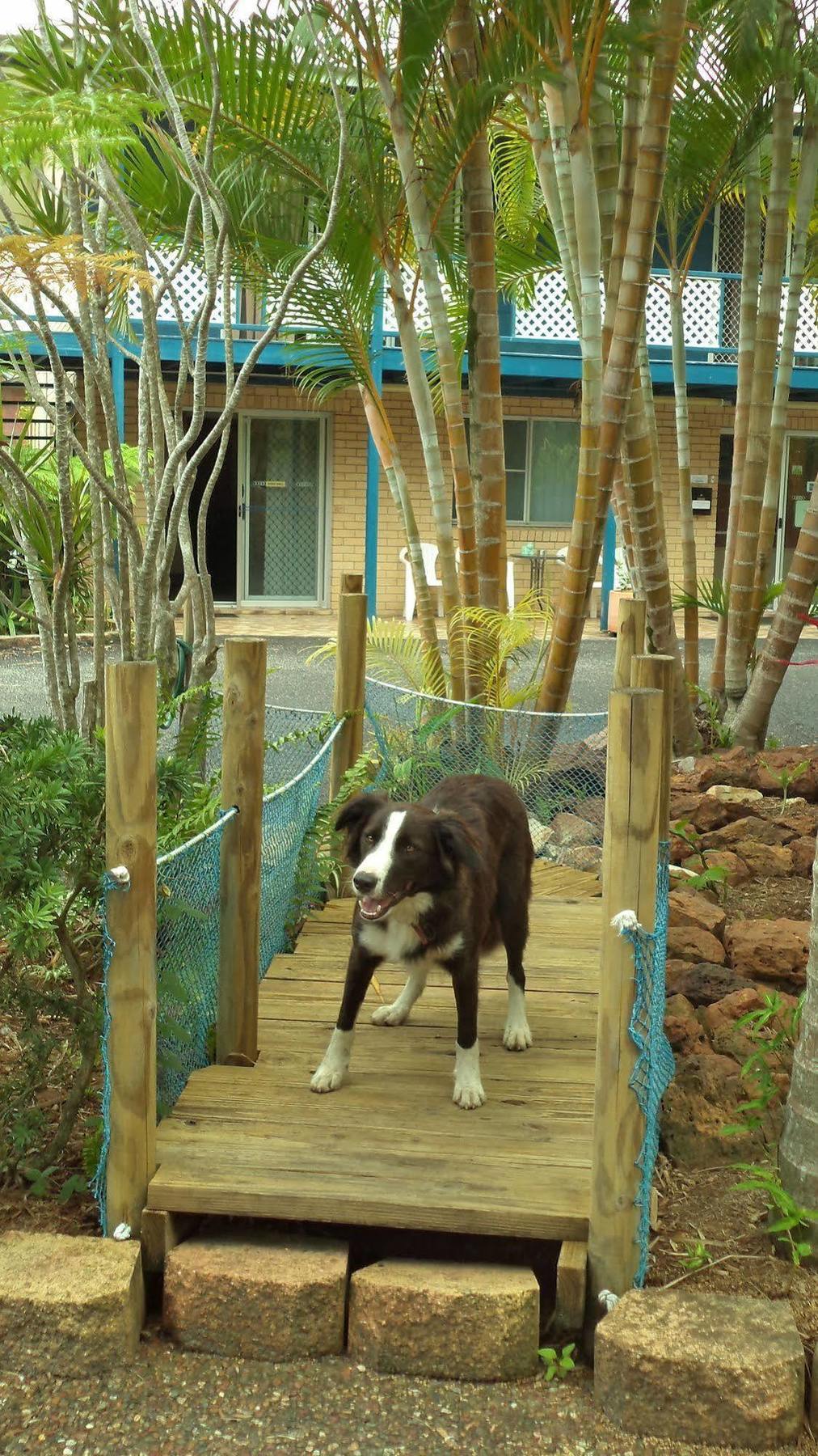 Tin Can Bay Motel Bagian luar foto